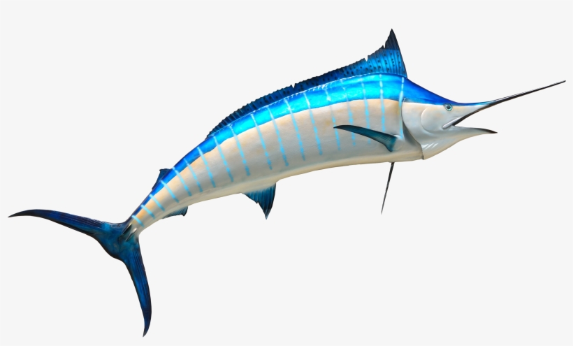 Free Png Fish Png Images Transparent - Png Fish, transparent png #18629