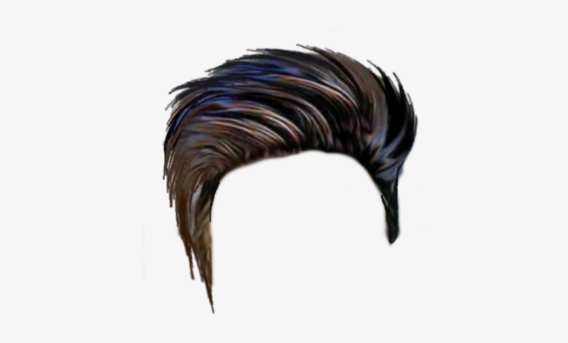 Hair PNG - PNG All | PNG All