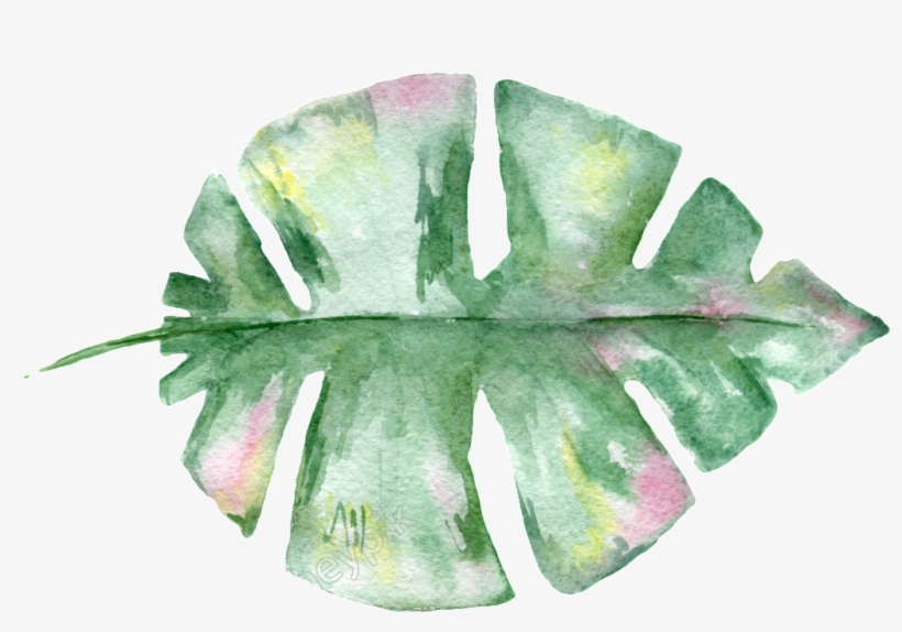 Hand Painted Watercolor Leaf Transparent Material, transparent png #18777