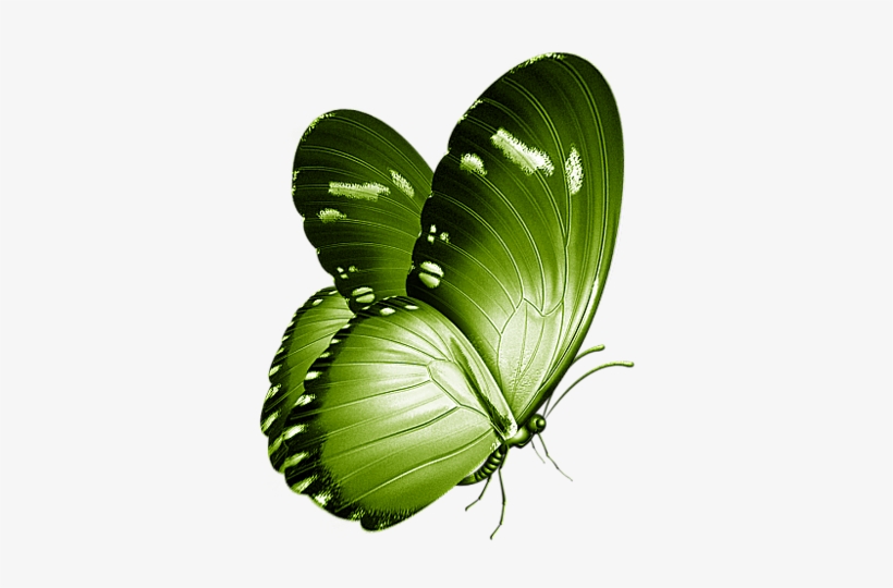 Pin By Carmen Dungan - Butterfly Necklace, Vintage Style Woodland Jewelry, transparent png #18873