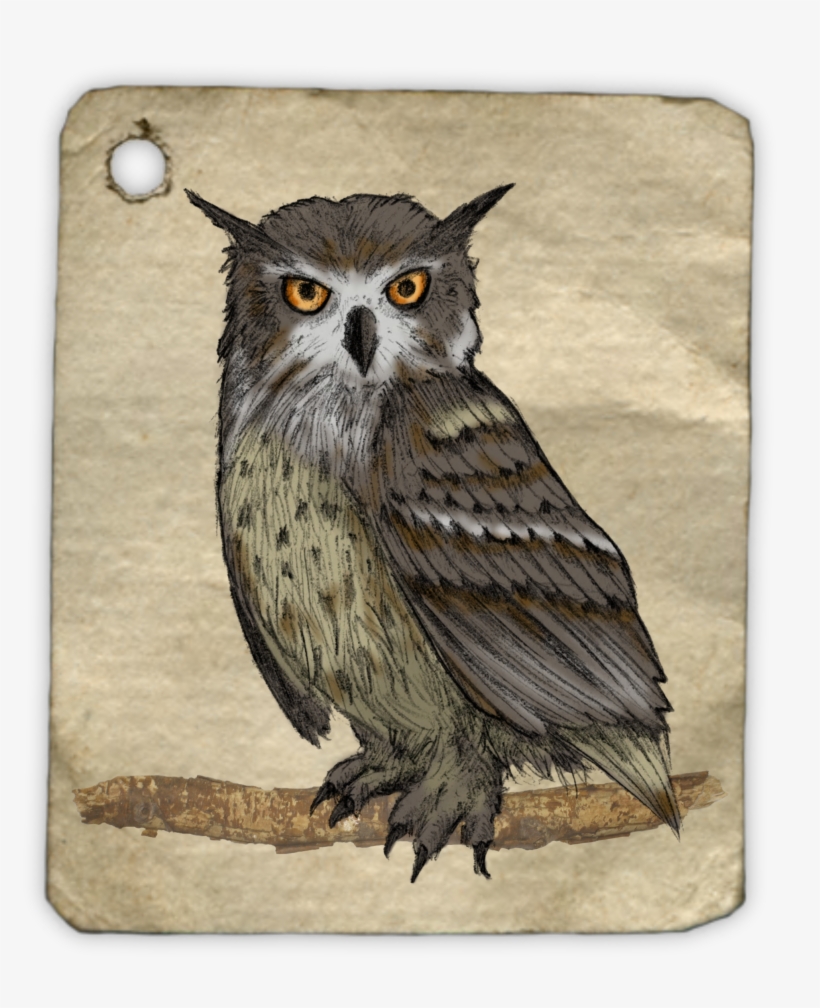 Owl Painting Watercolor Animal Tag 1485637 - Gambar Lukisan Burung Hantu, transparent png #18920