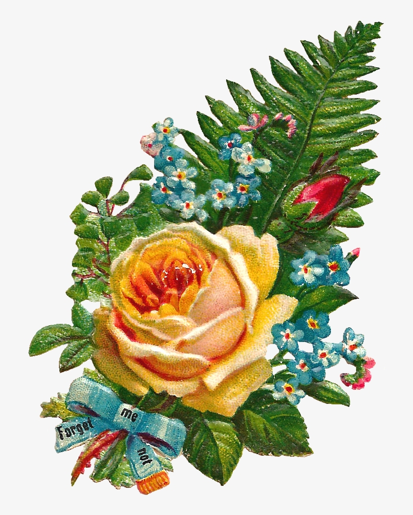 Rose Clipart Watercolor - Real Flowers Png Images Hd, transparent png #18996
