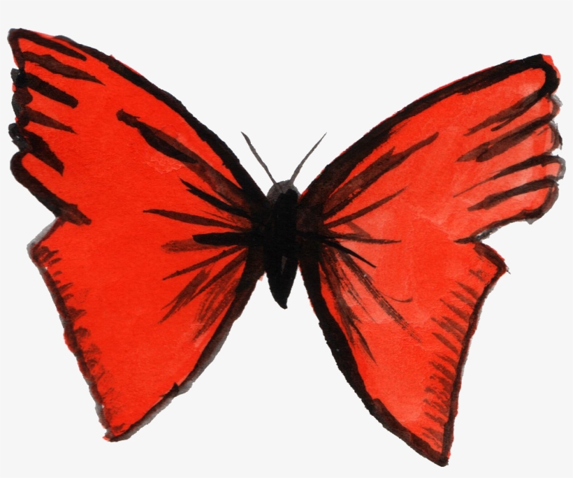 Watercolor Butterfly Png Picture Free Stock - Butterfly Png Watercolor, transparent png #18997