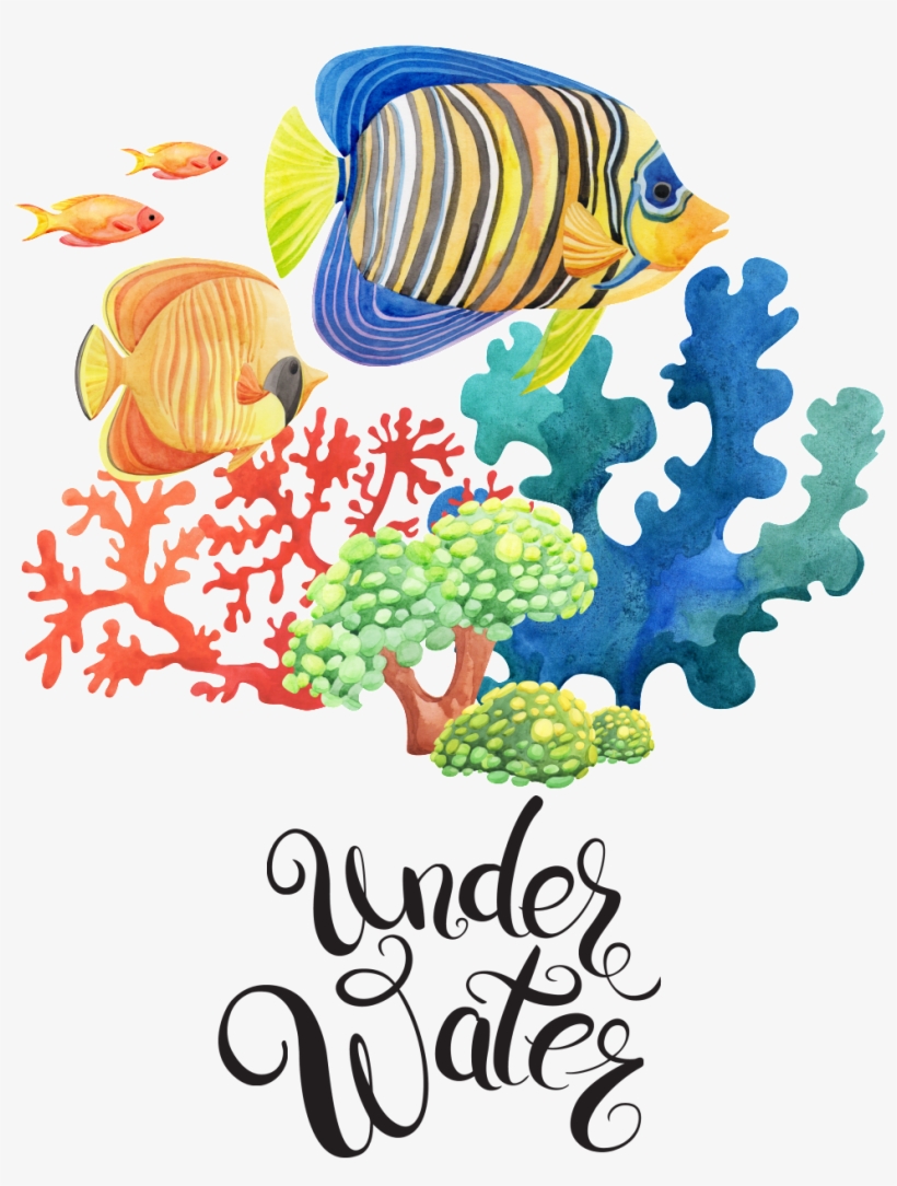 Hand Painted Sea Bottom Watercolor Fish Png Transparent - Sea, transparent png #19480