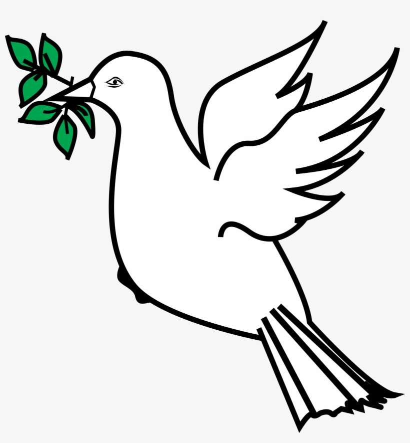 Dove And Olive Branch - Dove With Olive Branch Clipart, transparent png #19551