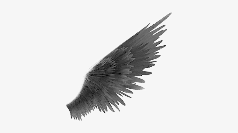 Black Wings Png Transparent Image - Angel Black And White Png, transparent png #19991
