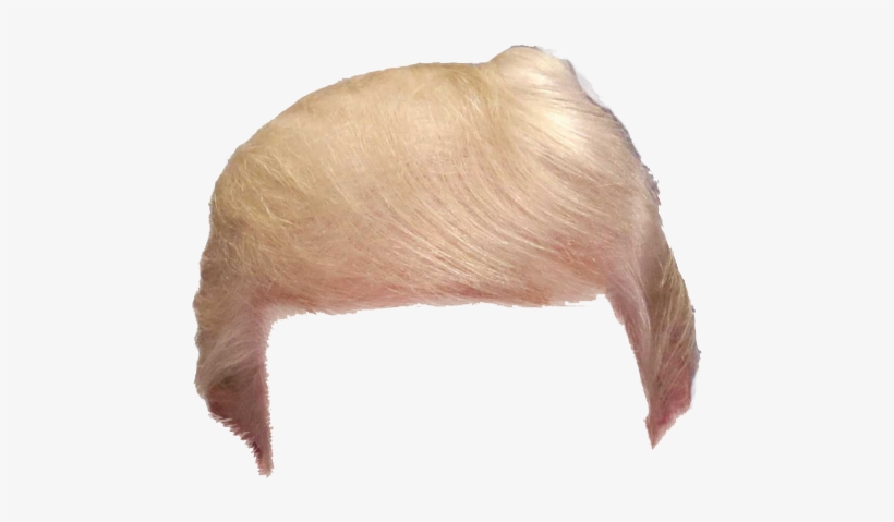 Support Trump Share The Hair Vector Transparent Download - Trump Wig Png, transparent png #100016