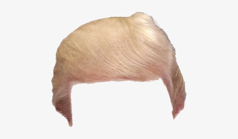 toupee vector