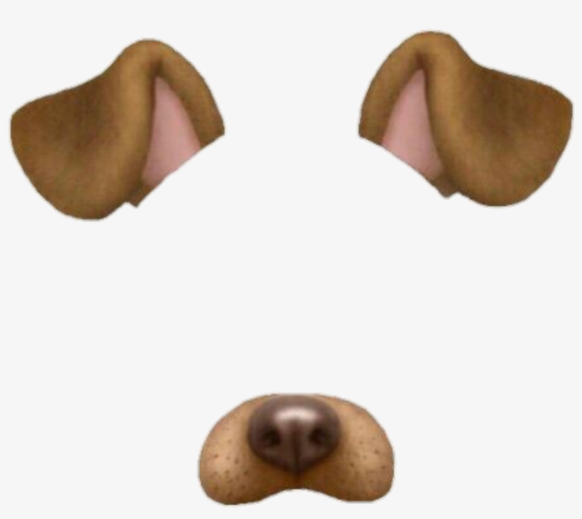 Overlay, Snapchat, And Dog Image - Dog Ears Snapchat Filter, transparent png #100069