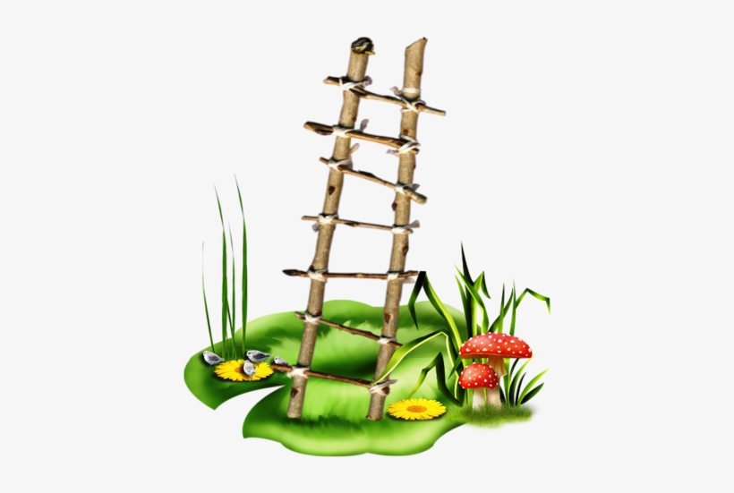 Mushrooms February 2015, Views Album, Ladder, Clip - Transparent Background Ladder Png Clipart, transparent png #100294