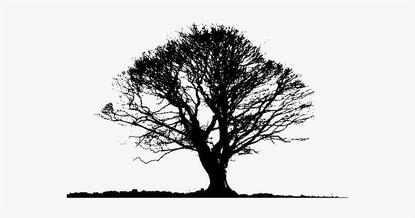 Black Tree Png Photos - Black And White Tree Png, transparent png #100512
