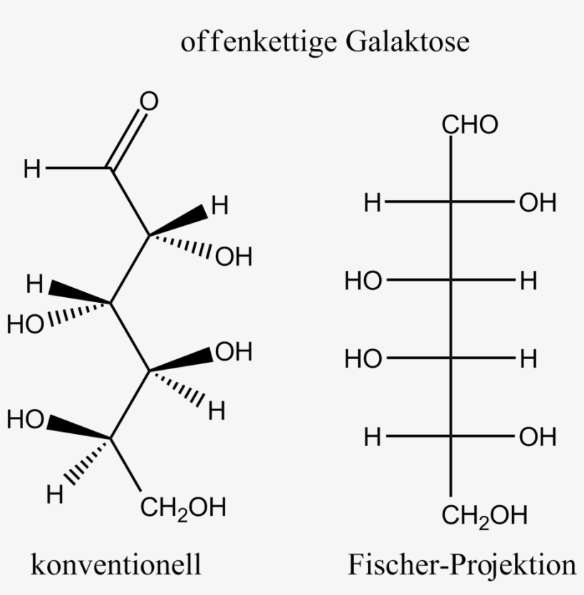 Galactose Open Chain - Fischer Projection To Open Chain, transparent png #100763