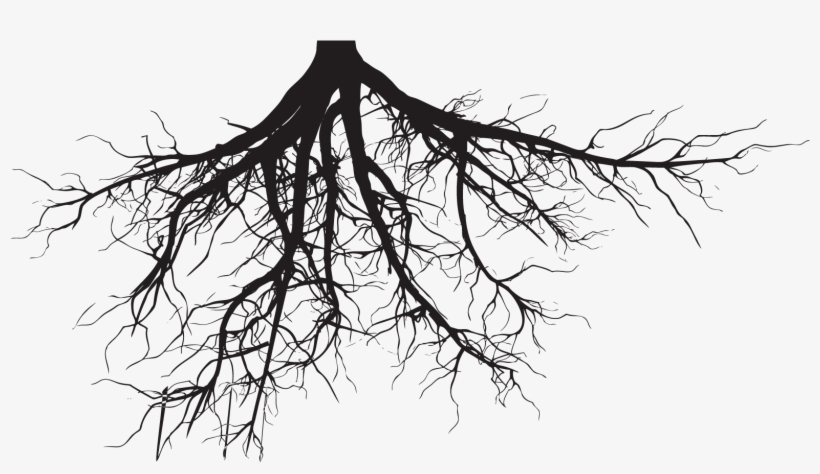 Roots Drawing Heart - Below: Broken Sky Chronicles, Book 1 (broken Sky Chronicles), transparent png #100855