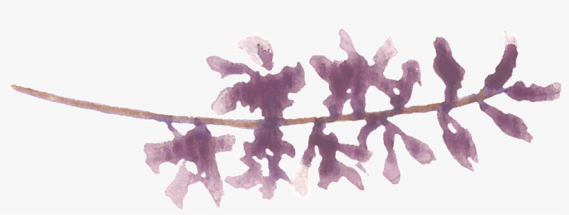 Purple Water Sprig Cartoon Transparent - Water, transparent png #100910