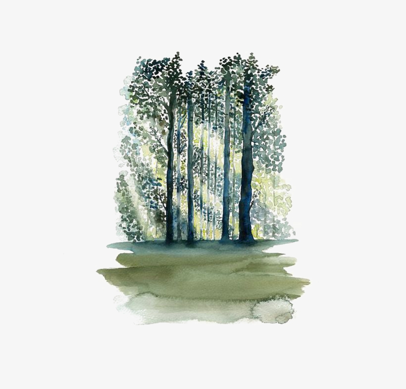 Painting Paper Tree Forest Transprent - Watercolor Forest Png, transparent png #101045