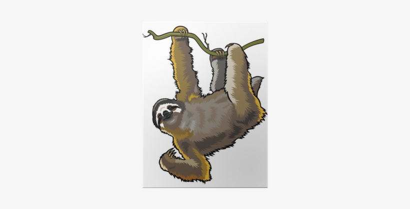 Brown Three Toed Sloth Greeting Card, transparent png #101410