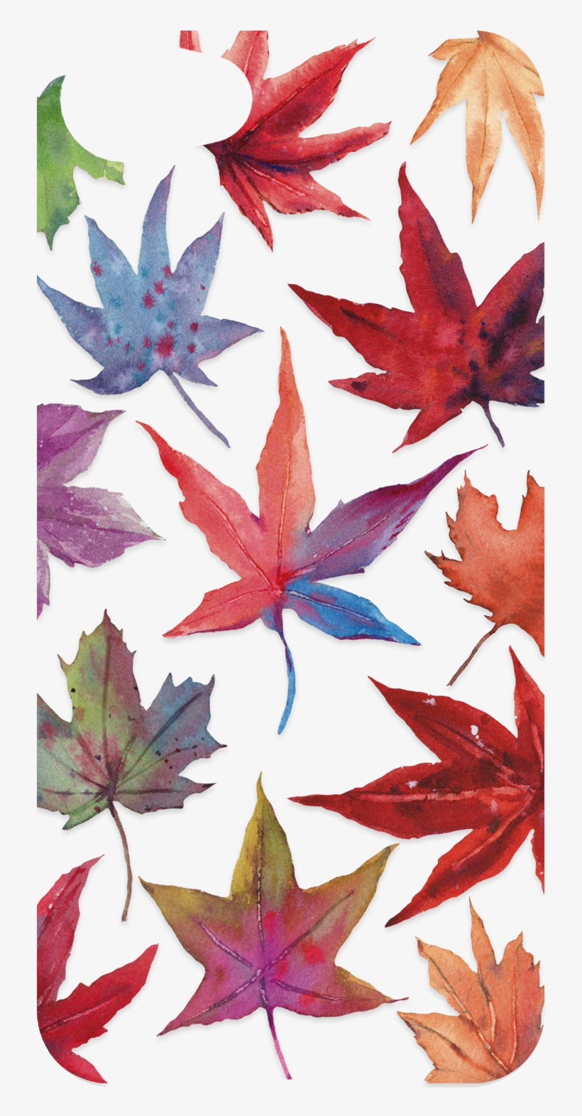 Backplate 3pb0100126l B048 V=1511158487 - Polar Bear, transparent png #102165