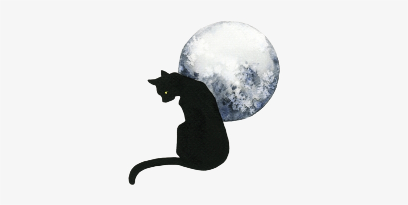 Cat And Moon - Black Cat, transparent png #102343