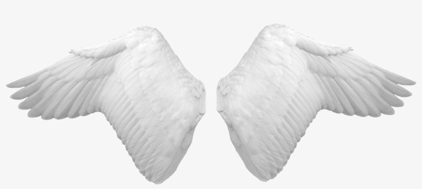 Wings Png - Angel Wings Psd, transparent png #102390
