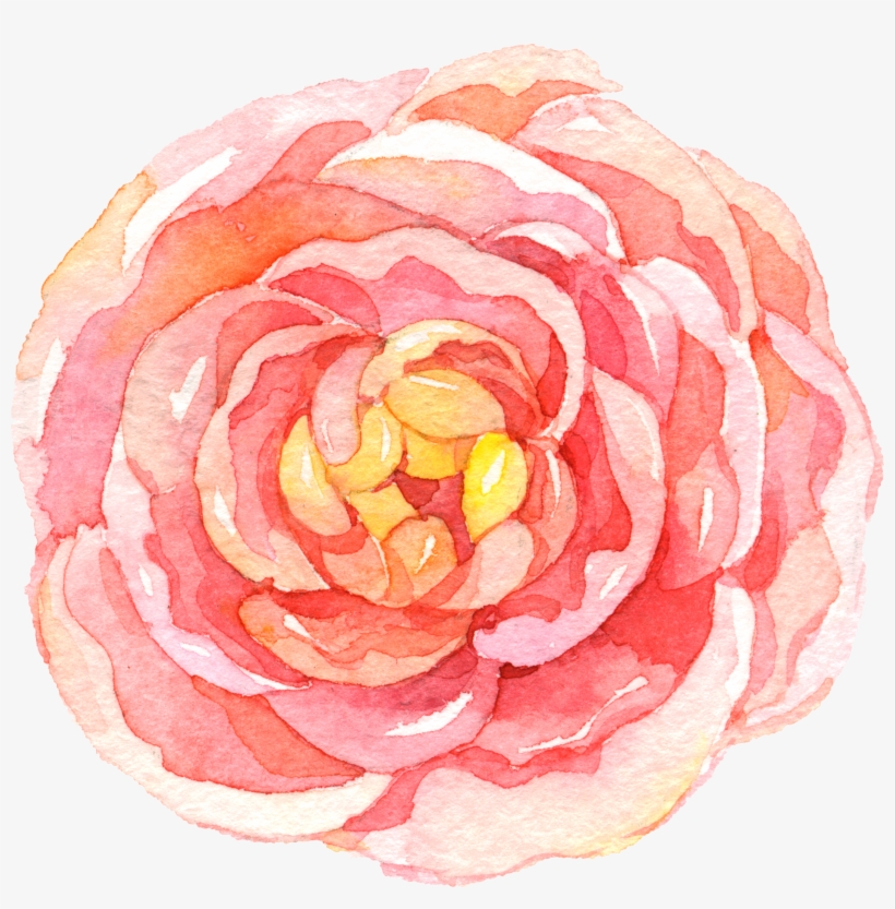 Image Library Stock Camellia Drawing Watercolor - Marmont Hill Bursting Flowers By Melanie Clarke Framed, transparent png #102489