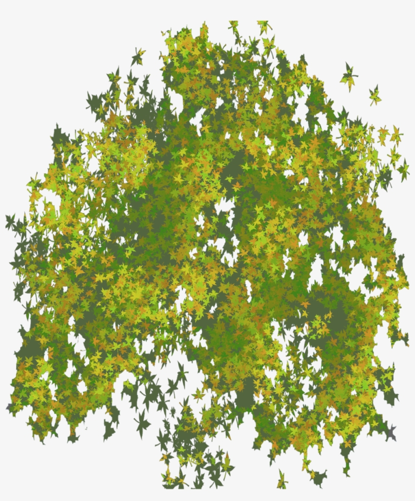 Png Illustrator Top View Trees, transparent png #102651
