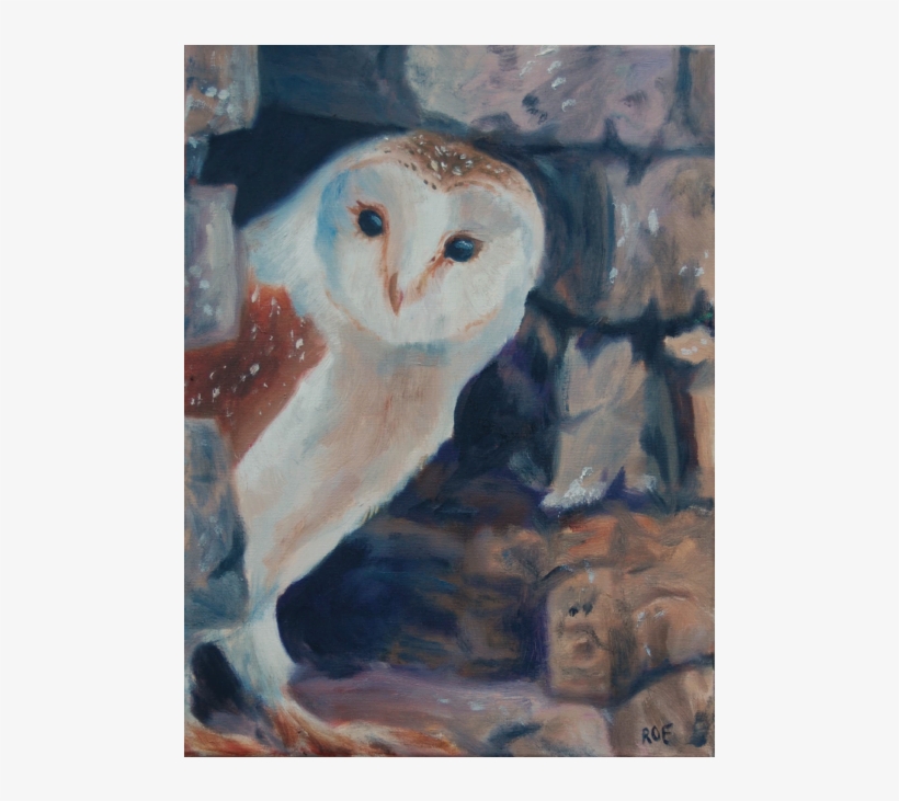 Oil Oil Painting - Barn Owl, transparent png #102673