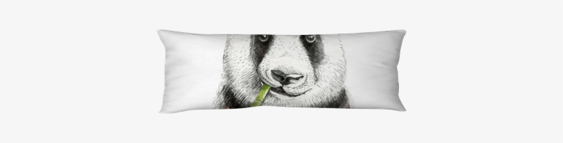 Watercolor Panda Illustration - Cushion, transparent png #103069