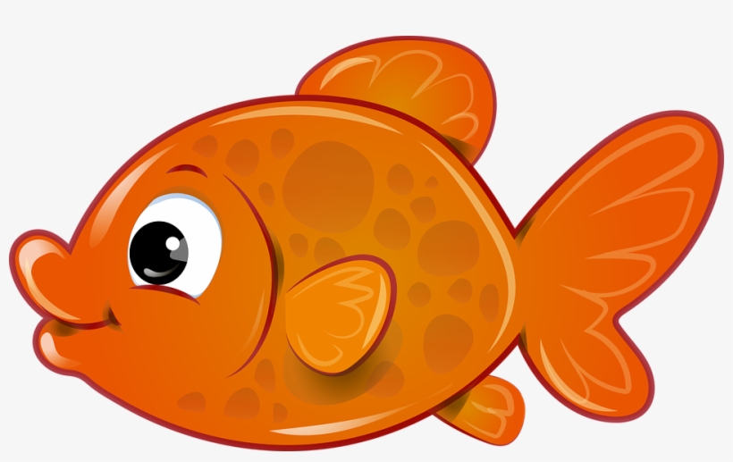 Fish Goldfish Orange - Clipart Gold Fish, transparent png #103578
