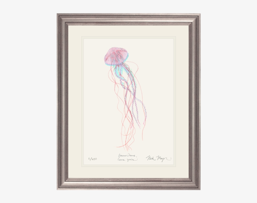 Jack-in-the-pulpit, transparent png #103847