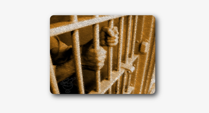 Prisoner Grasping Bars - Prison Break : Not All Escapees Are Desperados, transparent png #104064