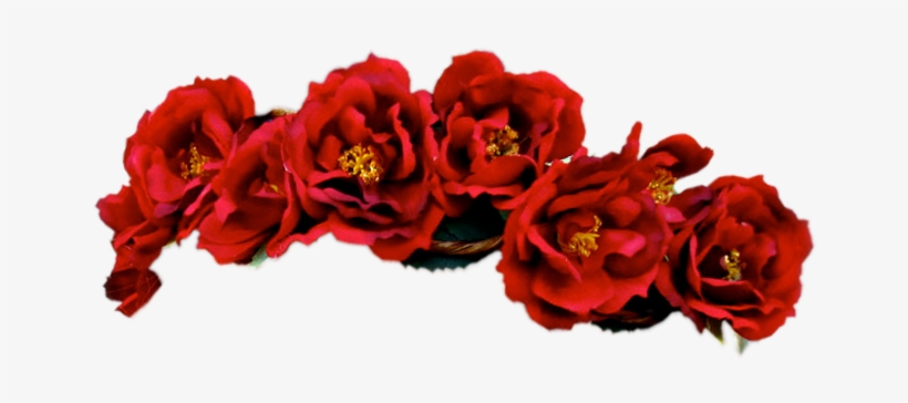 Png Displaying Flower Red Red Transparent Crown For - Flower Crown Red Png, transparent png #104190
