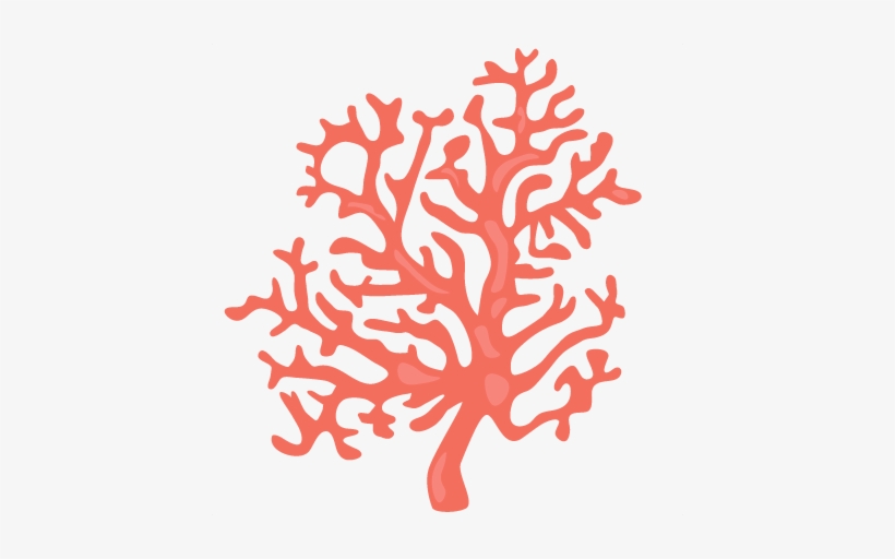 Coral Clipart Png - Coral Clipart Transparent Background, transparent png #104285