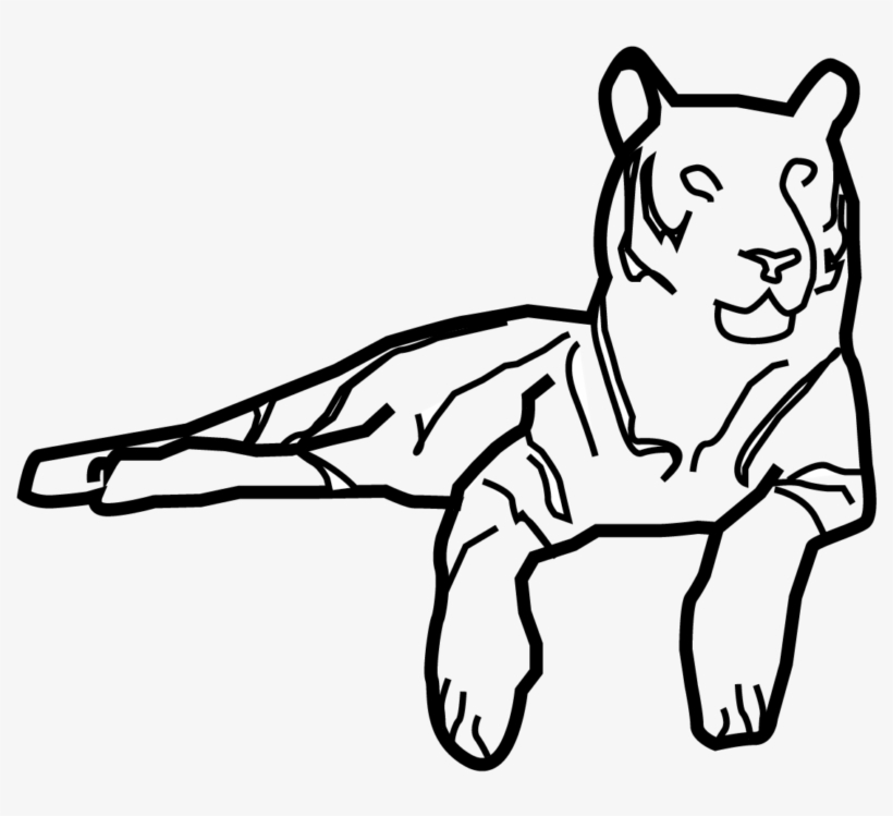 Tiger - My Icon Story Ltd, transparent png #104901