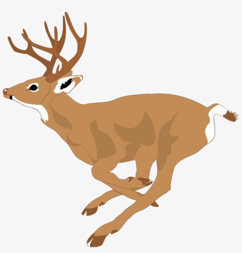 Deer 4 Free Vector - Running Deer Clip Art, transparent png #105120