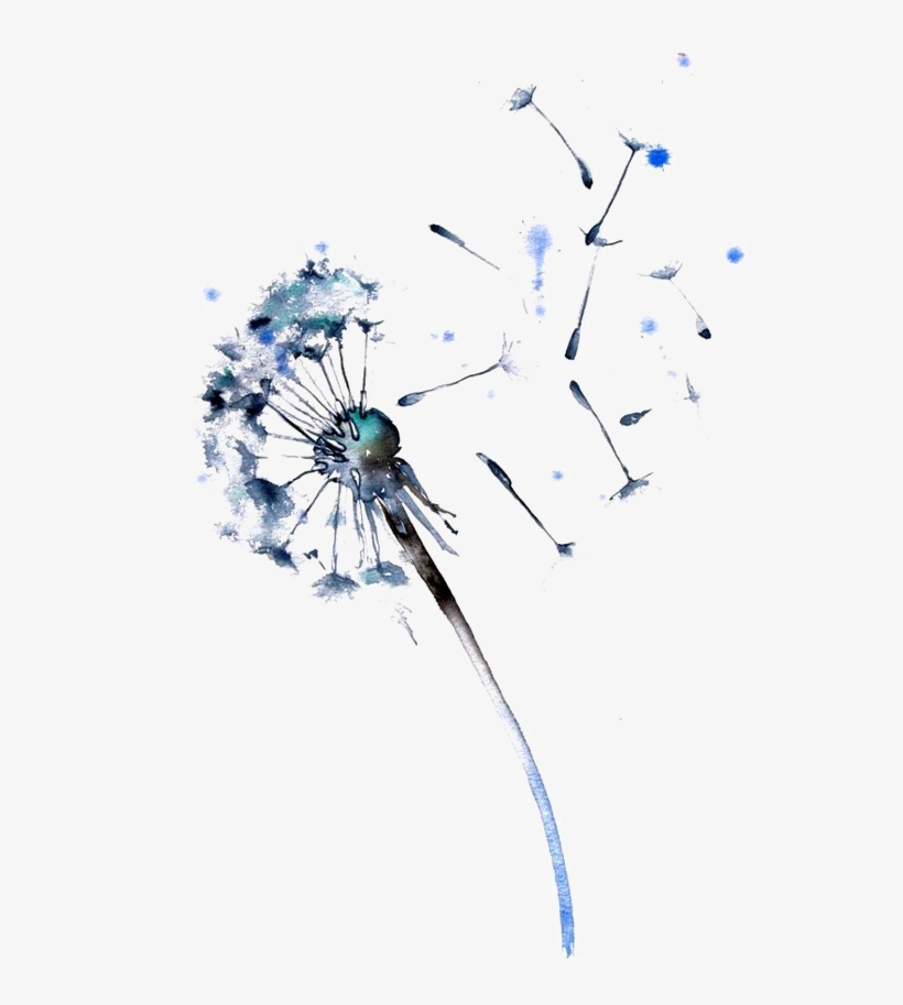 Watercolor Painting Dandelion Drawing Paper - Dandelion Watercolor, transparent png #105235
