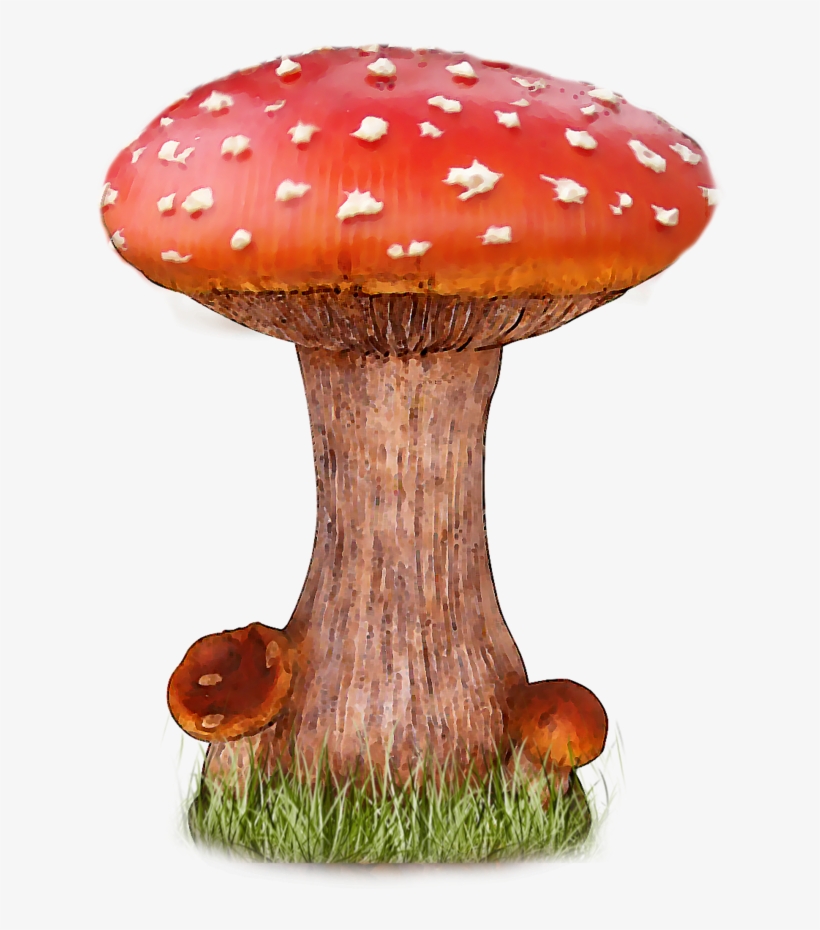 Mushroom Png File - Mushroom Png, transparent png #105342