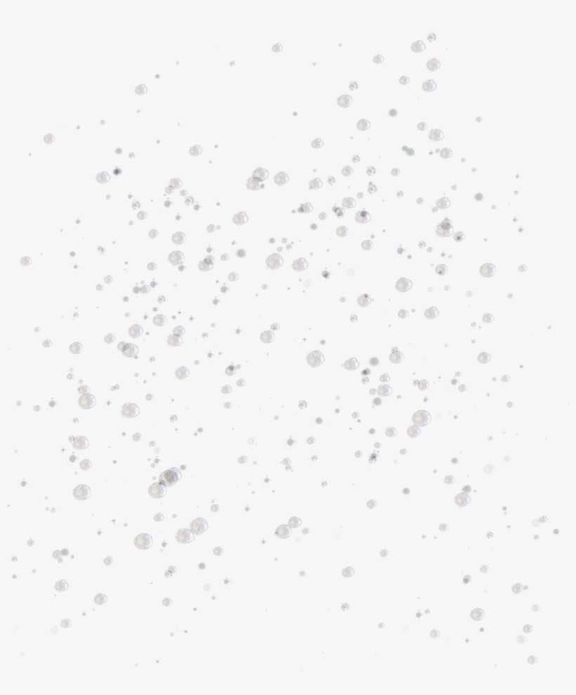 Misc Bubbles Element Png By Dbszabo1 - Bubbles Png, transparent png #105422