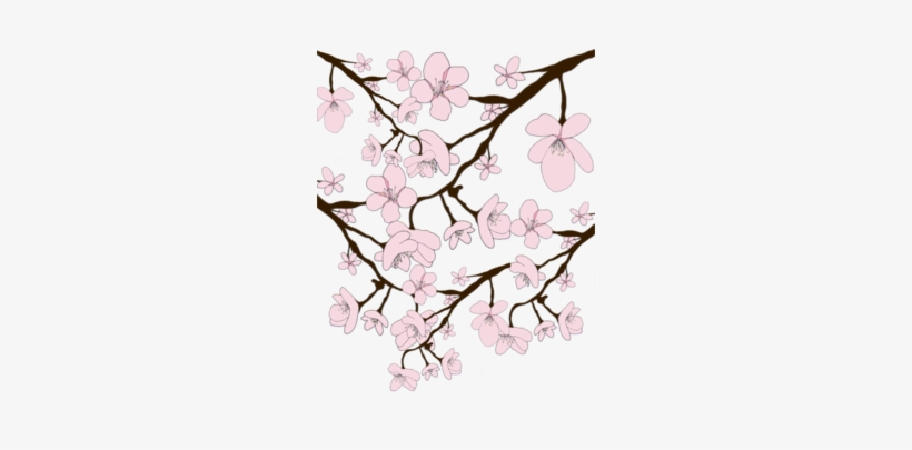 Drawn Cherry Blossom Transparent - Portable Network Graphics, transparent png #105438