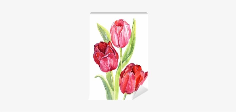 Tulipanes En Acuarela Png, transparent png #105738