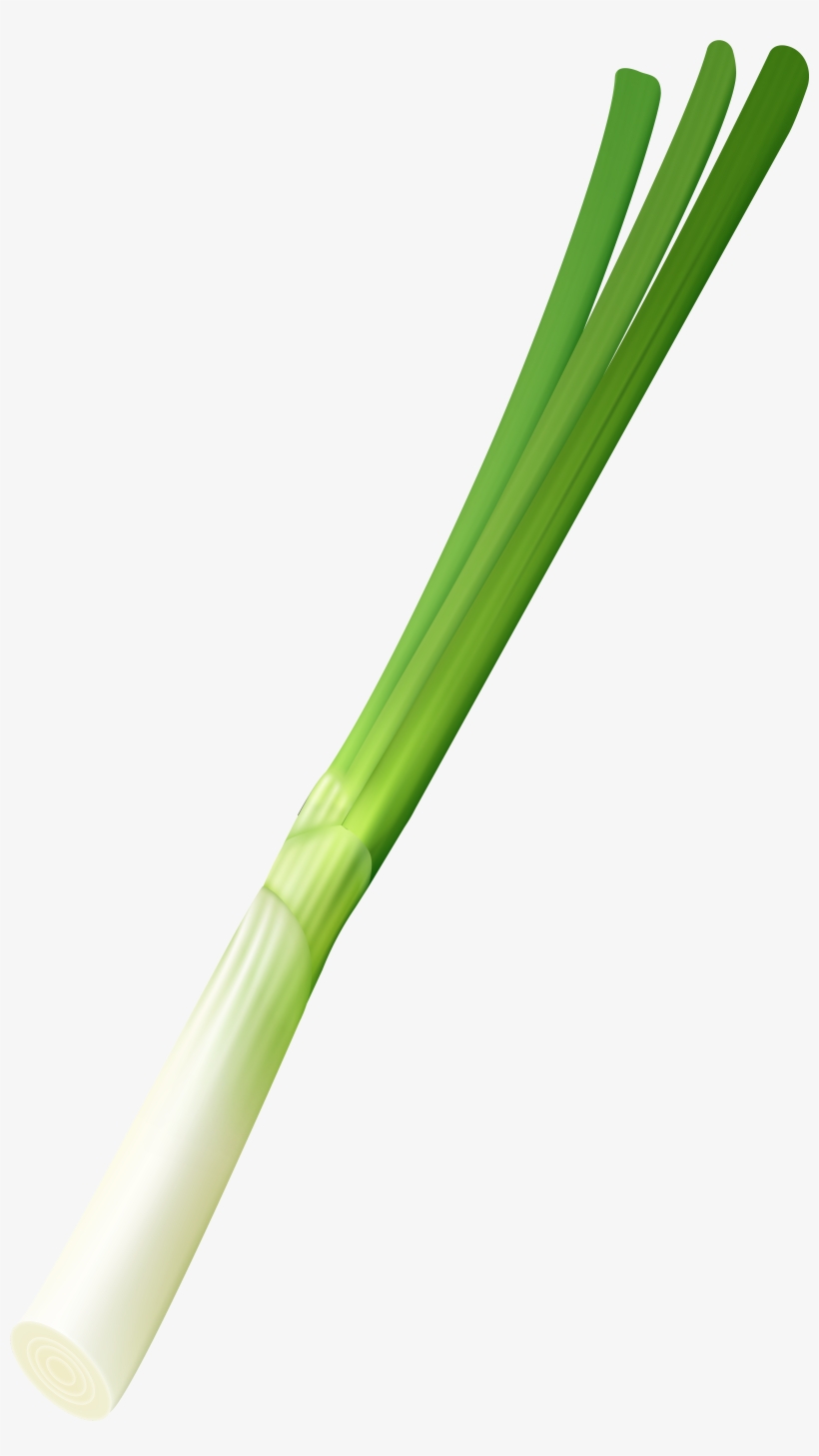 Onion Png, transparent png #105801