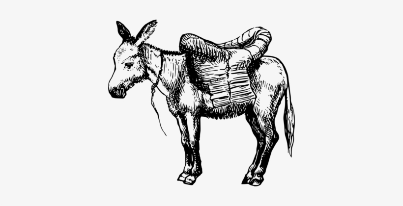 Donkey Dairy Cattle Mule Horse T-shirt - Donkey, transparent png #106020