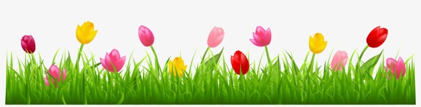 Grass Png Clip Art Imageu200b - Tulips Clip Art, transparent png #106701