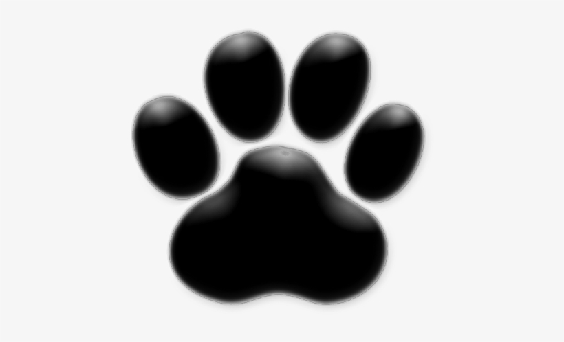 Pawprint - Capa Para Stories Do Instagram, transparent png #107003