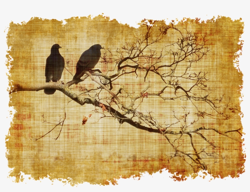 Parchment Birds Branch Branches Old Statio - Mavera Mevsimler Kitap, transparent png #107117