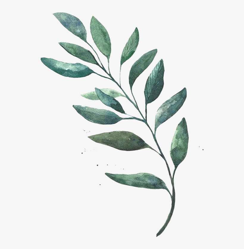 Watercolor Painting Leaf Drawing - Leaf Watercolor, transparent png #107238