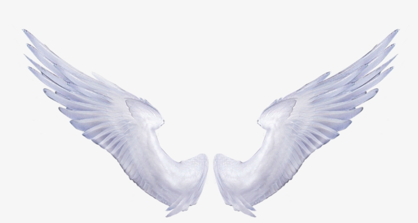 Angel Wings Png - White Angel Wings, transparent png #107468