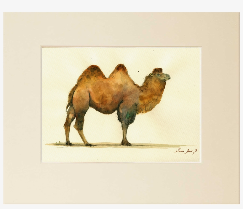 "bactrian Camel" - - Bactrian Camel Painting, transparent png #107511