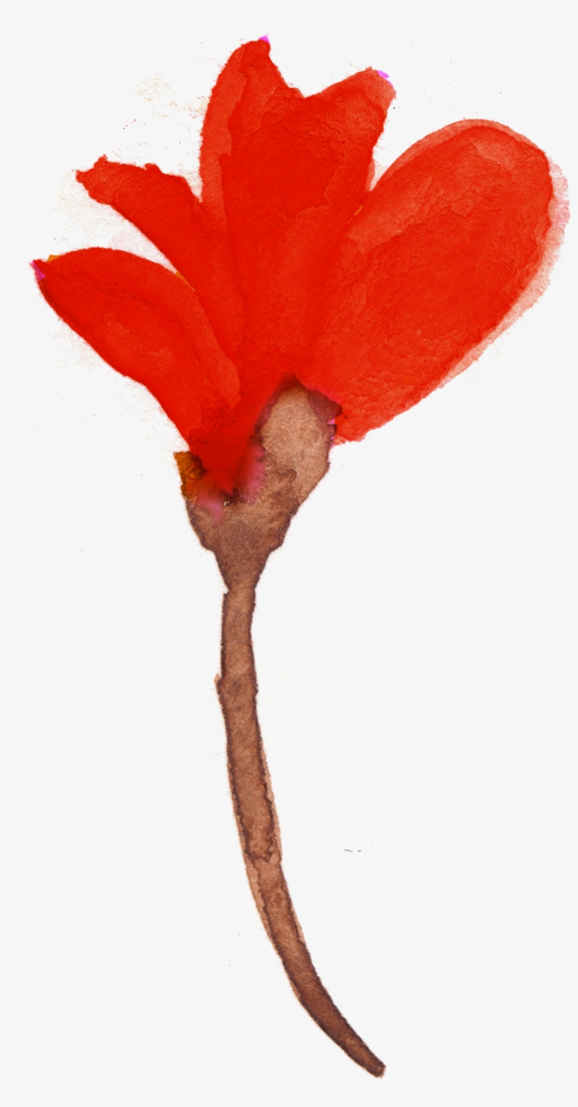 Free Watercolor Floral Elements- Pretty - Watercolor Painting, transparent png #107746