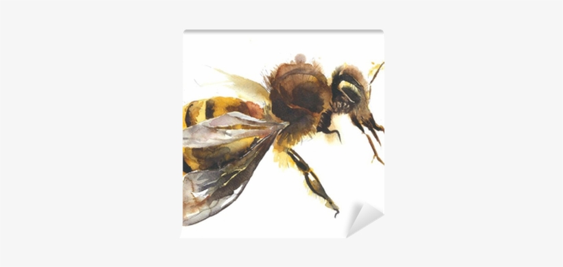 Honey Bee Watercolor Painting Hand Made Isolated On - Watercolor Painting, transparent png #108116