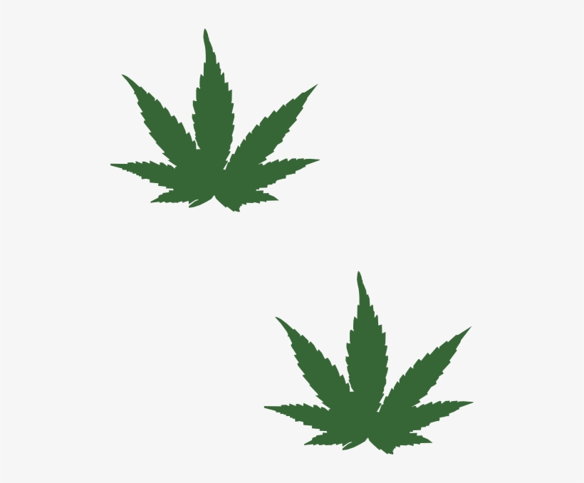 Download Cartoon Weed Leaf Png Png Black And White Stock - Small Weed Plant Drawi...